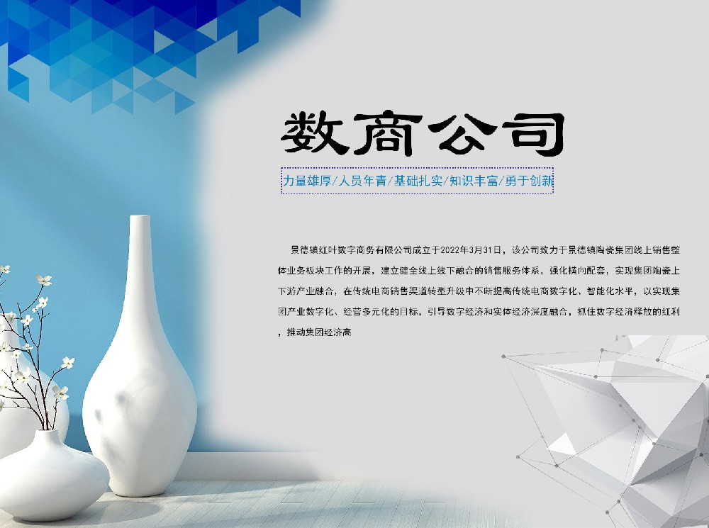 景德鎮紅葉數字商務(wù)有限公司